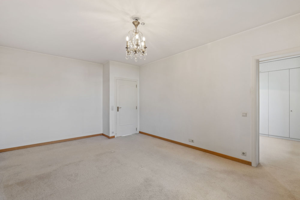 13__69131ba1961703_43205335-1