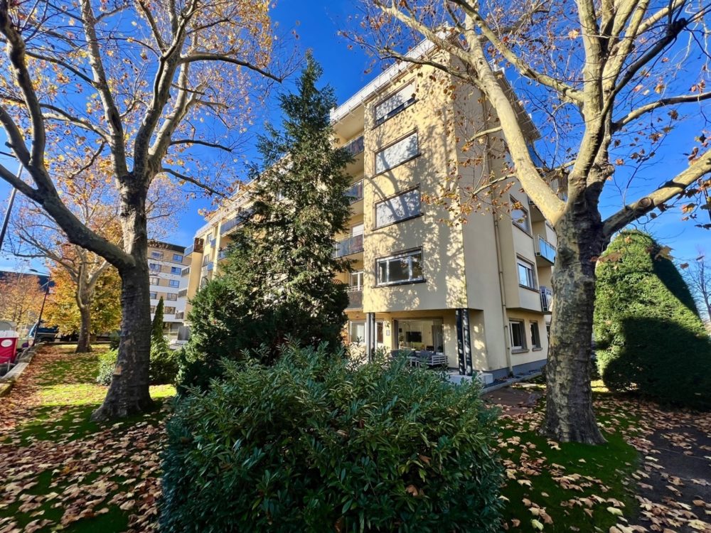 1__6911988eebfc41_44541658-1