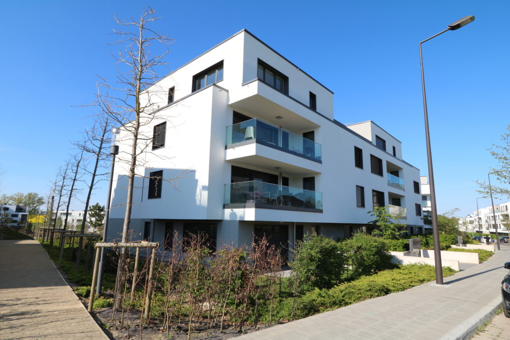 2__6924380caf8141_44846861-1