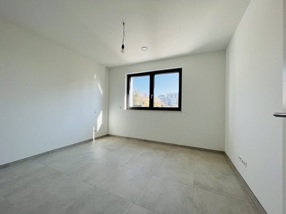 6__691200175bc741_29797352-1