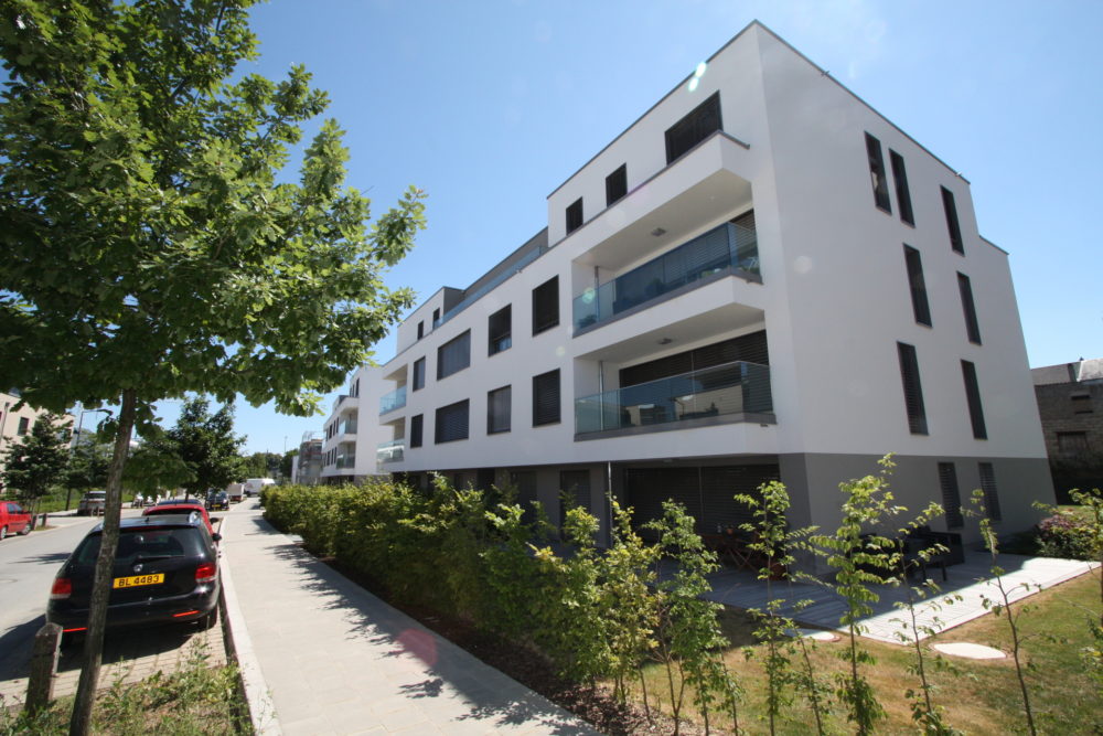 6__693fc3c66c8617_38434850-1