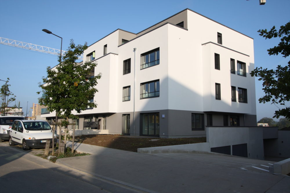 1__69779f36117314_12687668-1