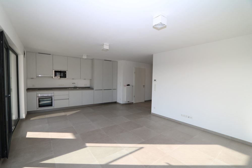 6__699ec93689b254_19629236-1