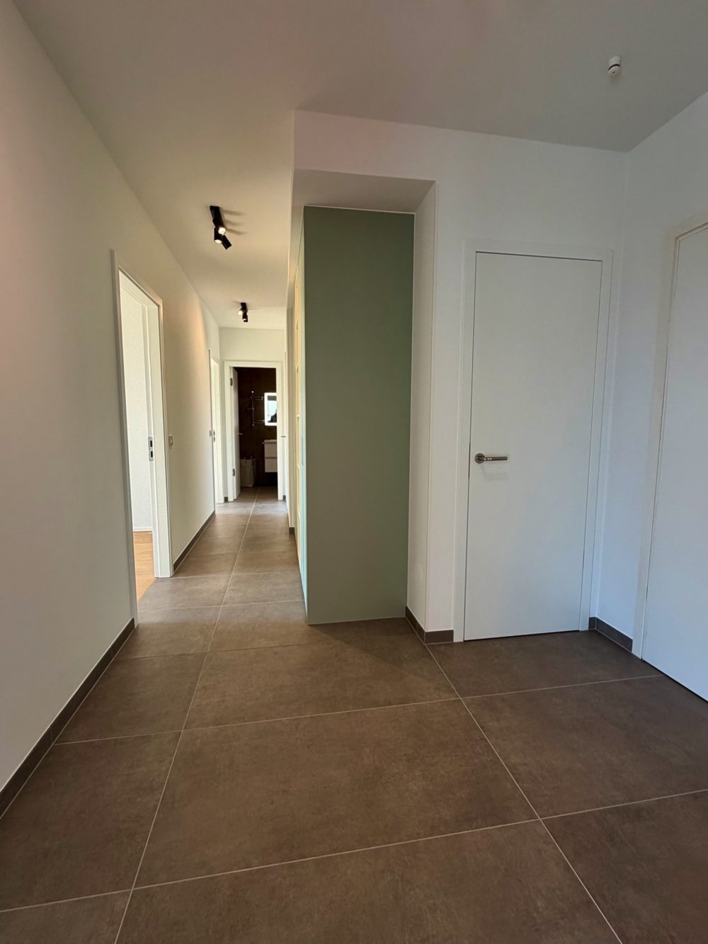 11__69bc0c1fbe6887_40570286-1