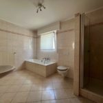 17__69aeab1988ff86_79032428-1