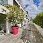 4__69ba793a1f38a5_43376662-1