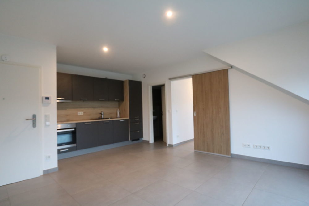 1__69de0b9237cfd3_32829455-1