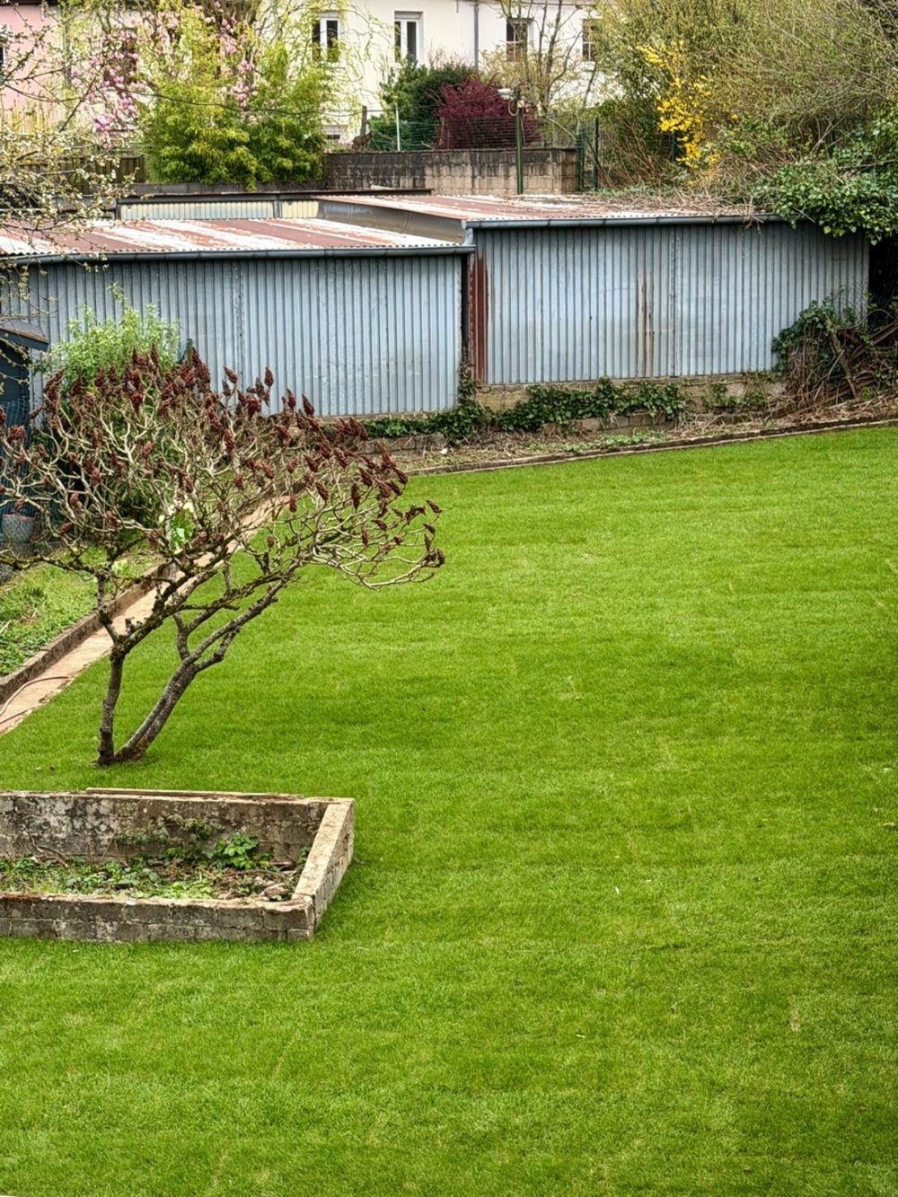 20__69dd0b6bba9037_59150936-1